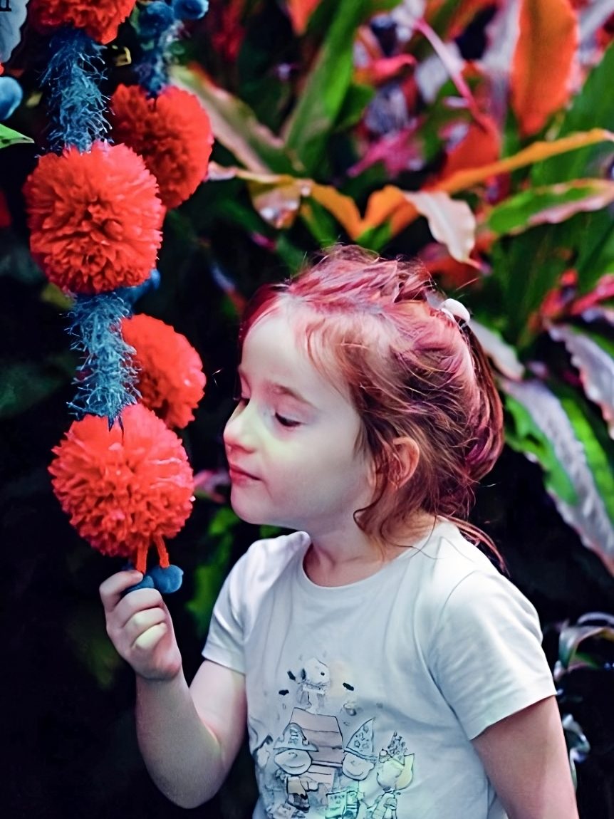 A child holds and smells the lemon-scented red flowers.
