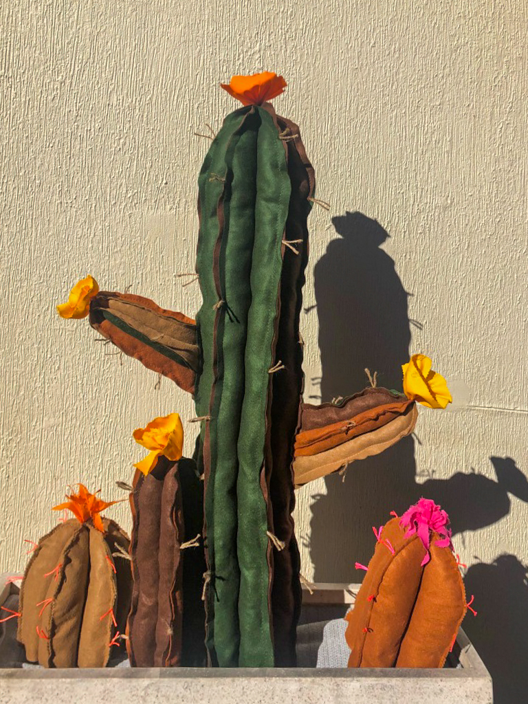 Soft, tactile cacti in a concrete potter set in front of a sandy backdrop.